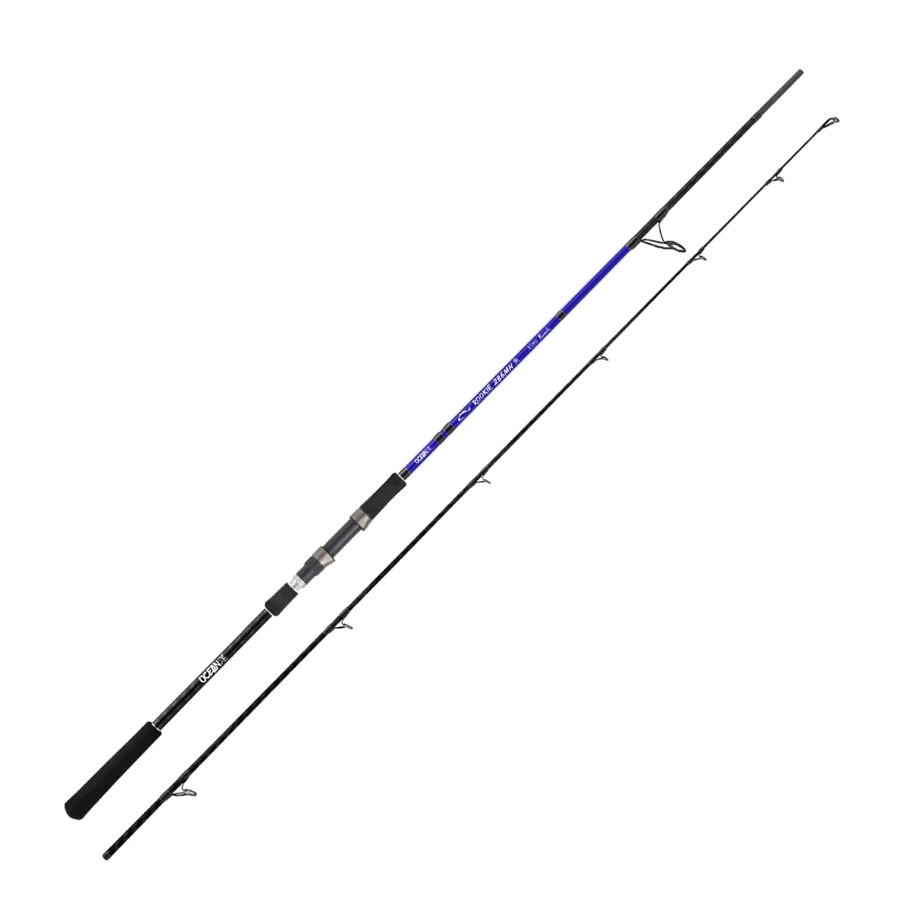 CAÑA DE PESCA ROOKIE 2.86 - 20-80G